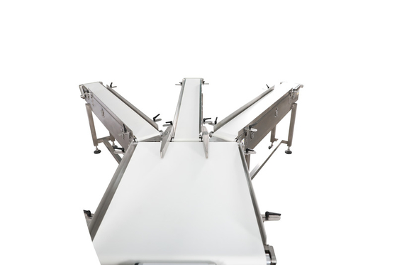 Digital Auto Check Weigher Machine/Weighing Scale For Sale