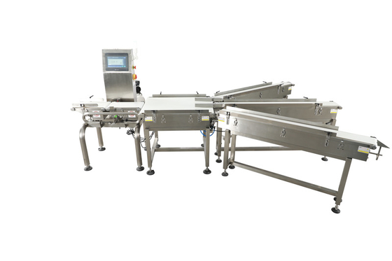Digital Auto Check Weigher Machine/Weighing Scale For Sale